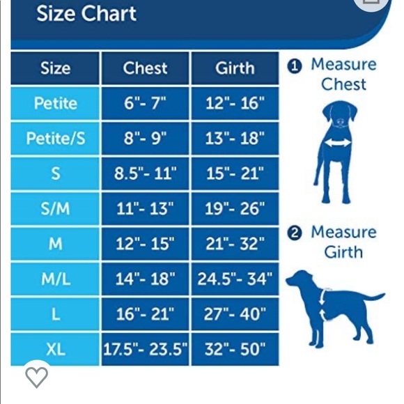 Dog harness - Picture 6 of 6